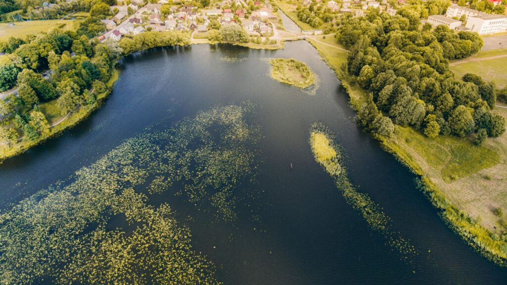 How Eritrea Instagram bloggers can collaborate with China advertisers in 2025