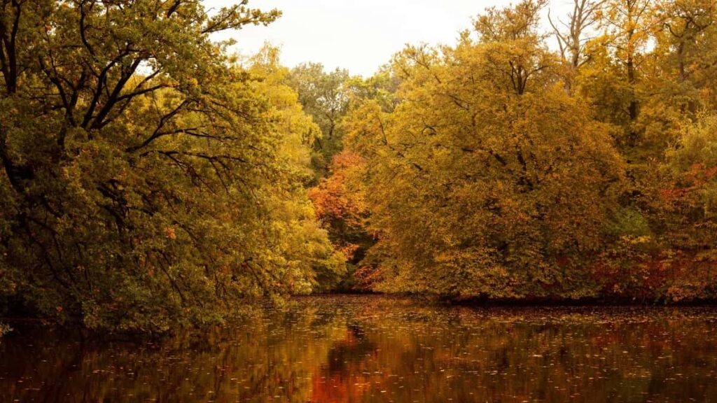 How Eritrea Telegram Bloggers Can Collaborate with France Advertisers in 2025