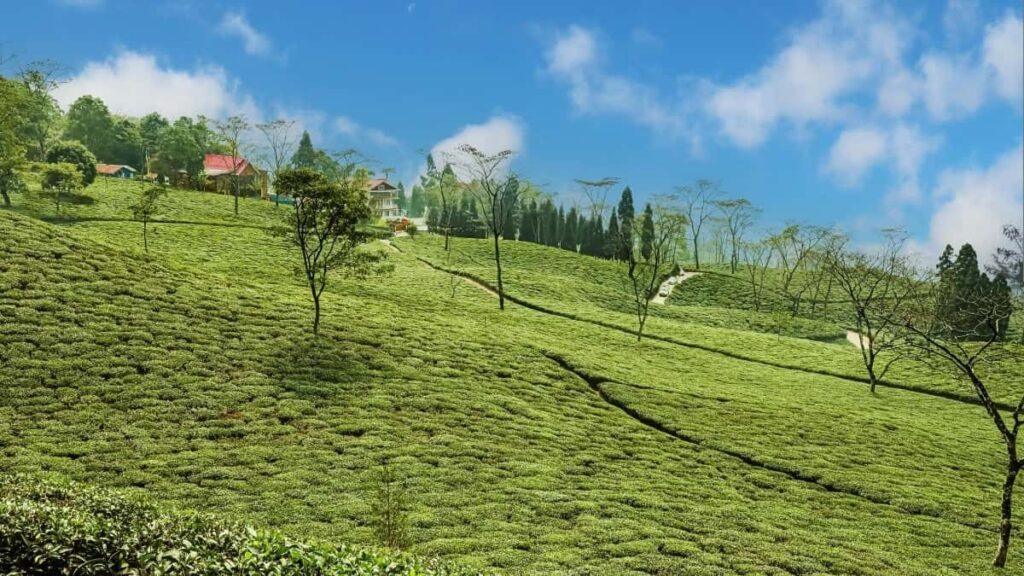 How Eritrea Snapchat Bloggers Can Collaborate with Brazil Advertisers in 2025