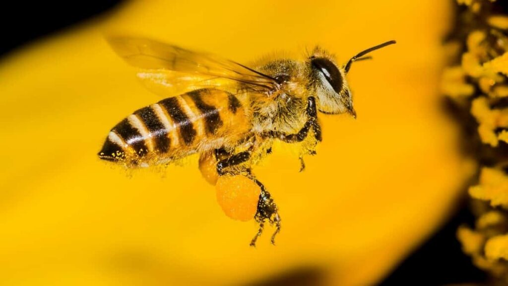 2025 Germany LinkedIn AllCategory Advertising Rate Card Eritrea Perspective