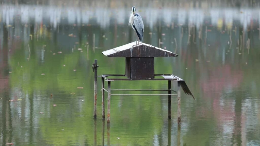 2025 Norway Instagram AllCategory Advertising Rate Card for Eritrea