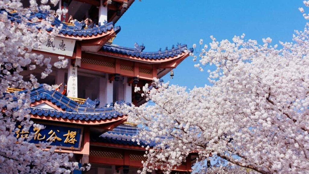 2025 Qatar Snapchat AllCategory Advertising Rates Guide Eritrea