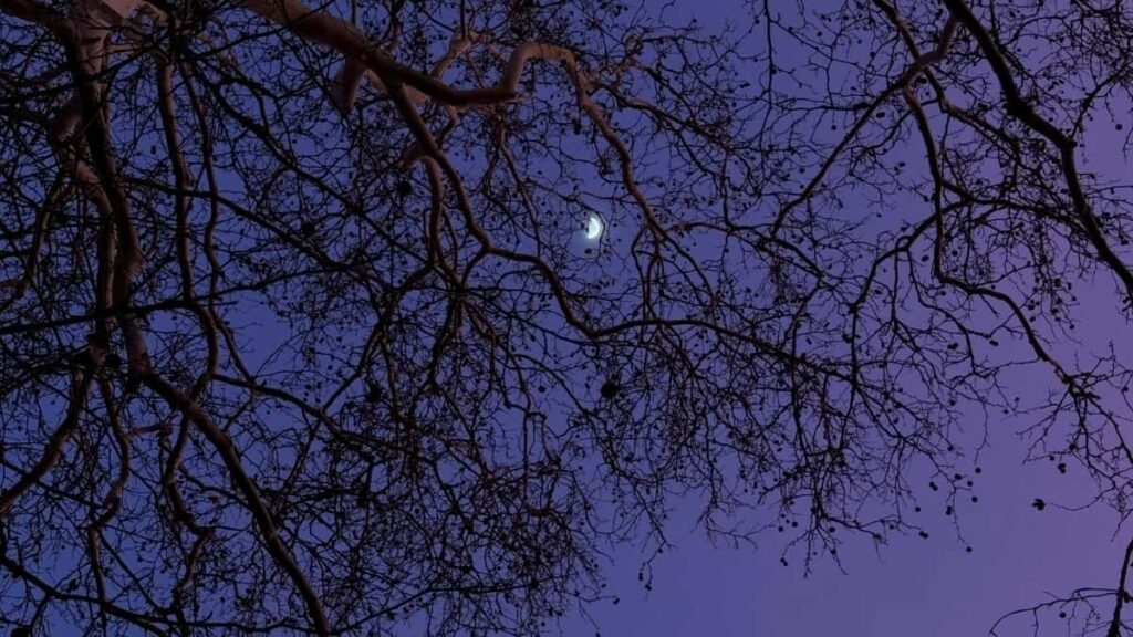 2025 Malaysia Pinterest AllCategory Advertising Rate Card Eritrea