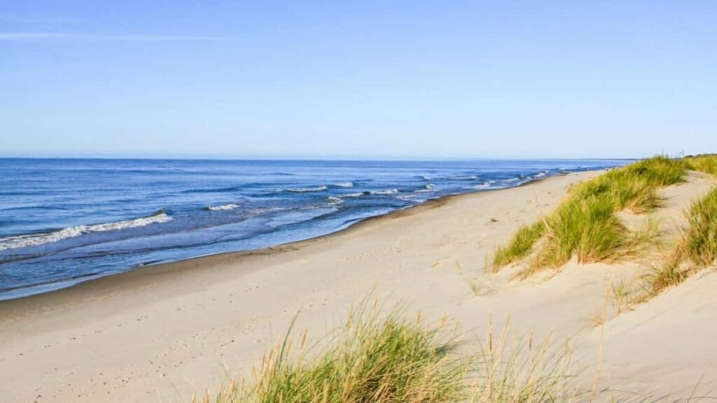 2025 Pakistan Pinterest AllCategory Advertising Rate Card Eritrea Marketing Insights