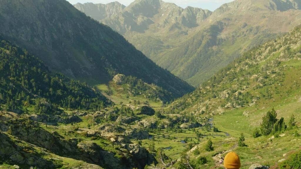 2025 Israel TikTok Advertising Rates for All Categories in Eritrea