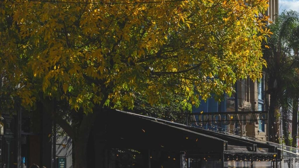 2025 Spain Facebook AllCategory Advertising Rate Card Insights for Eritrea