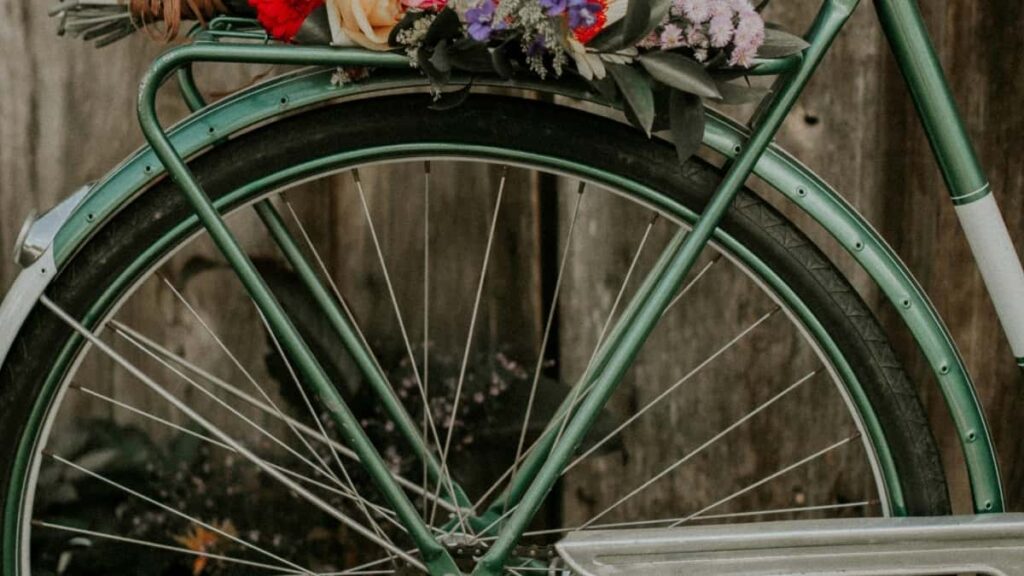 2025 Sweden TikTok Qulubi Nifasi Kifilawi Eritrea Bzaat