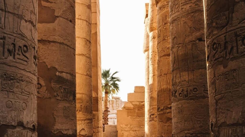 2025 Pakistan Facebook ሓደሽ ምርካብ ዋጋ ካርድ ኣብ Eritrea ገበሬታ