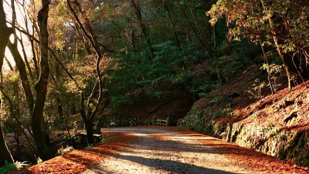 2025 Belgium Pinterest ሓላፍነት ኣማራጺ ኣብ ኤርትራ ዝተመለከተ