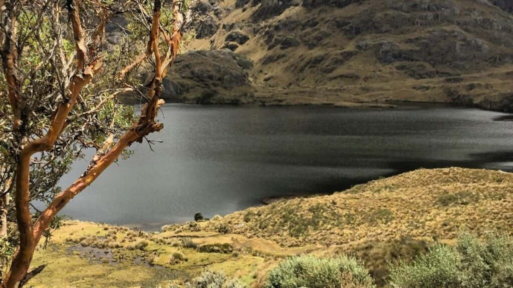 2025 Italy TikTok Advertising Rate Card for Eritrea Market