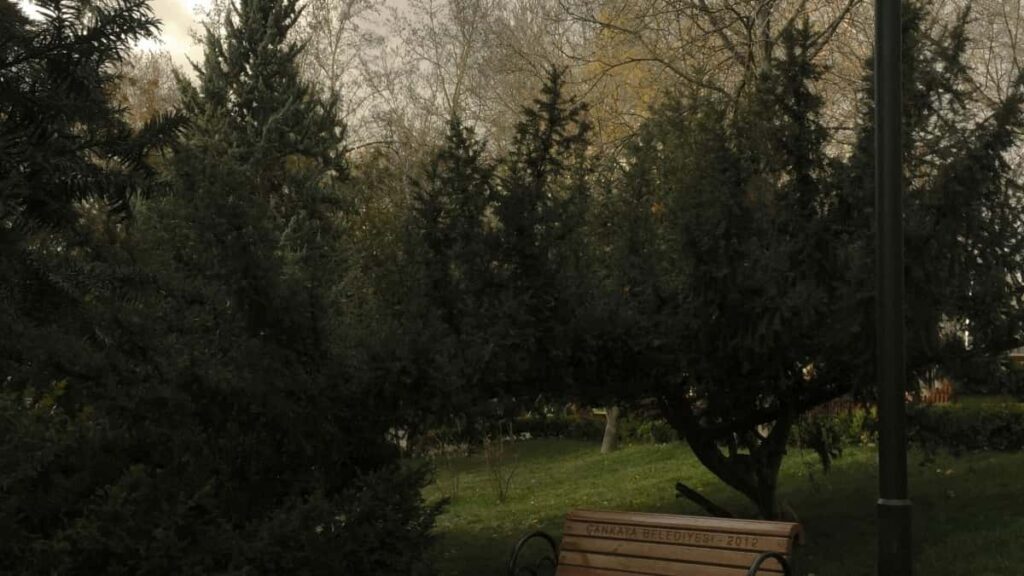 2025 Eritrea Telegram Media Buqash Kireyawi Kudirayit