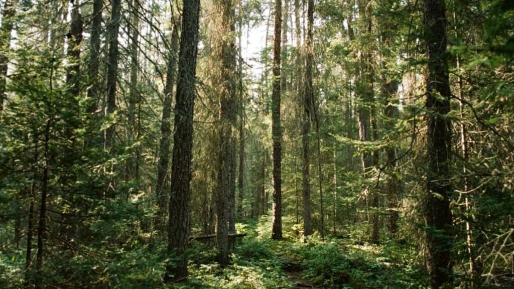 2025 France LinkedIn All-Category Advertising Rate Card