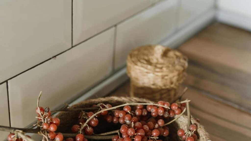 2025 Qatar Instagram AllCategory Advertising Rate Card