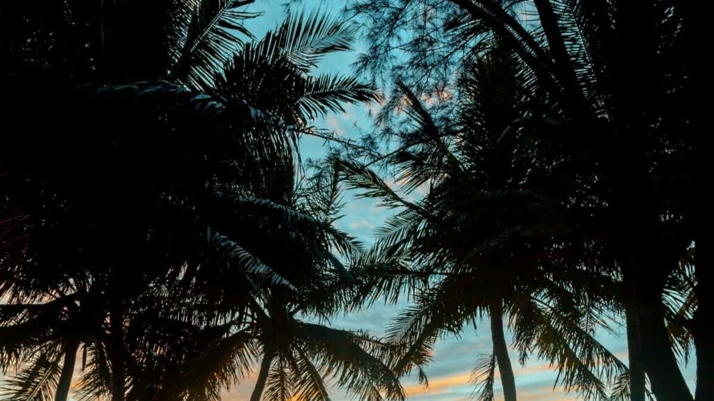 2025 Canada Instagram AllCategory Advertising Rate Card