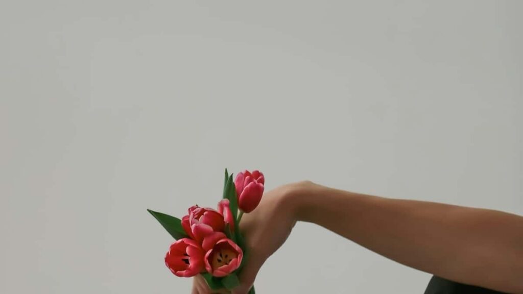 2025 Iran TikTok Ads Rates All-Category Guide