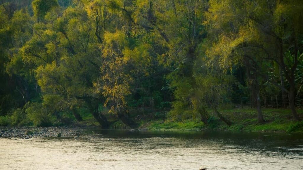 2025 Malaysia TikTok All-Category Advertising Rate Card