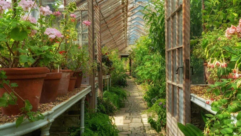 2025 Eritrea WhatsApp AllCategory Advertising Rate Card