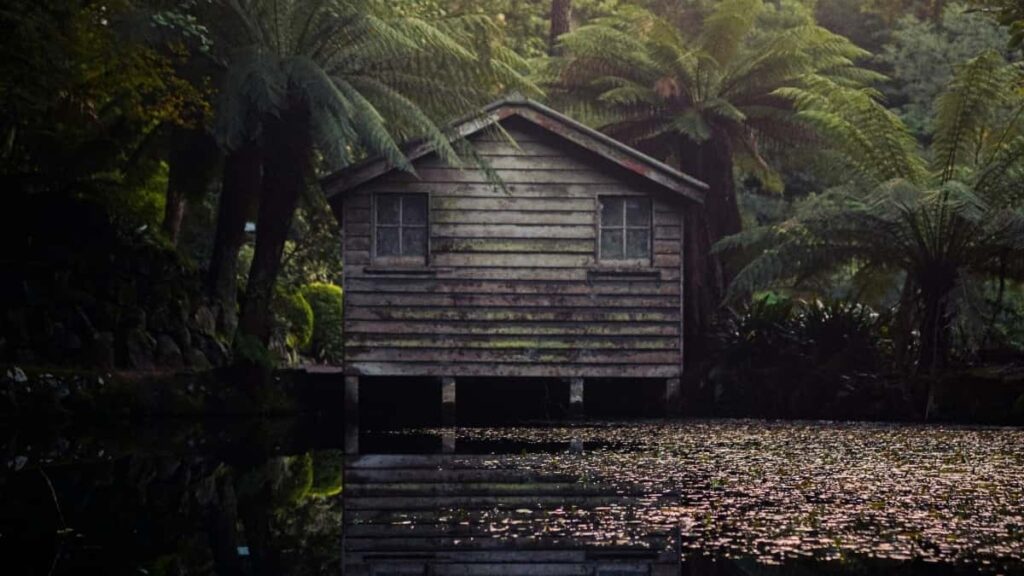 2025 Eritrea Telegram Natsnet Ad Rates Zerebawi Belewti