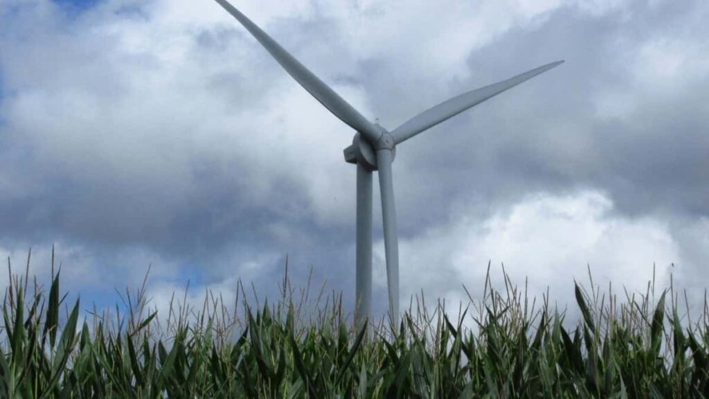 2025 Spain Instagram Zeyblu Advertizing Rate Card Eritrea Perspective