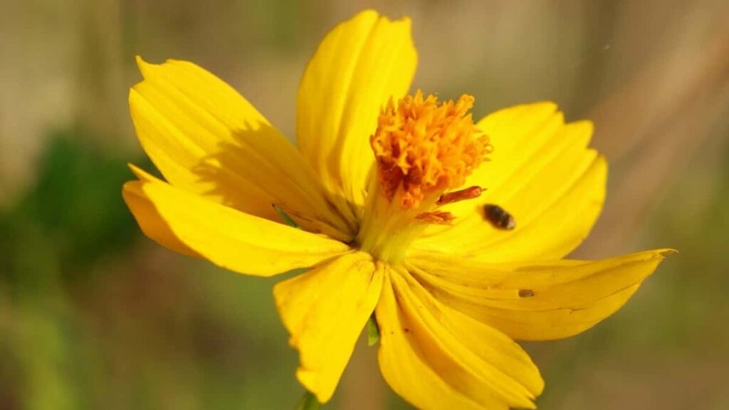 2025 Qatar WhatsApp All-Category Advertising Rate Card Guide Eritrea