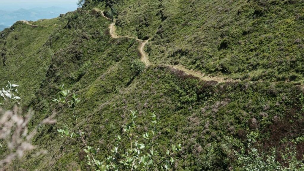 2025 China Twitter AllCategory Advertising Rate Card Eritrea