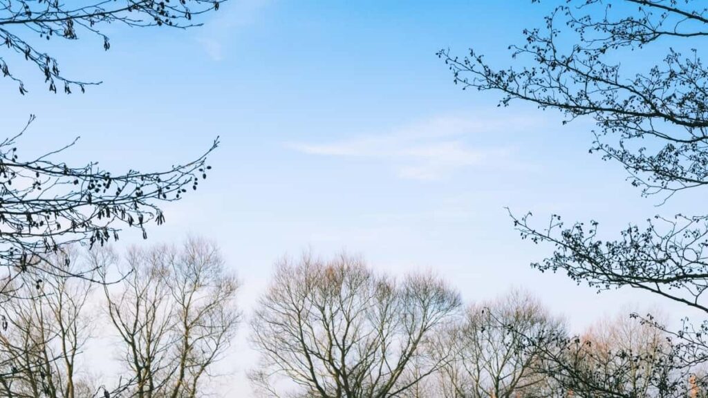 2025 Brazil Snapchat 全类别广告费率表指南