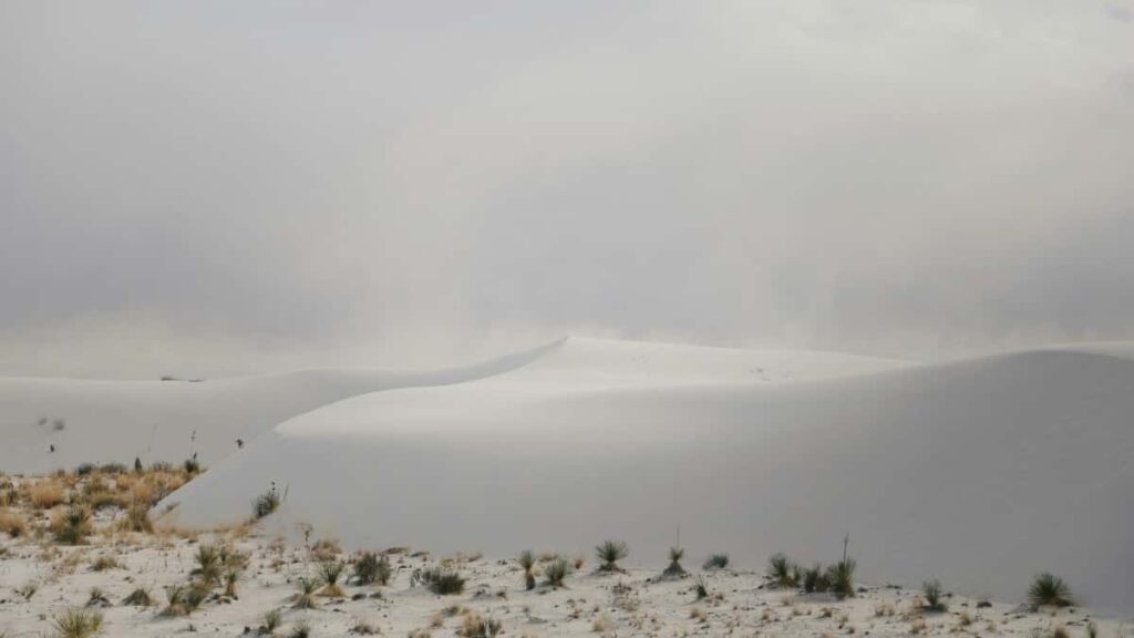 2025 Egypt WhatsApp All-Category Ad Rates in Eritrea