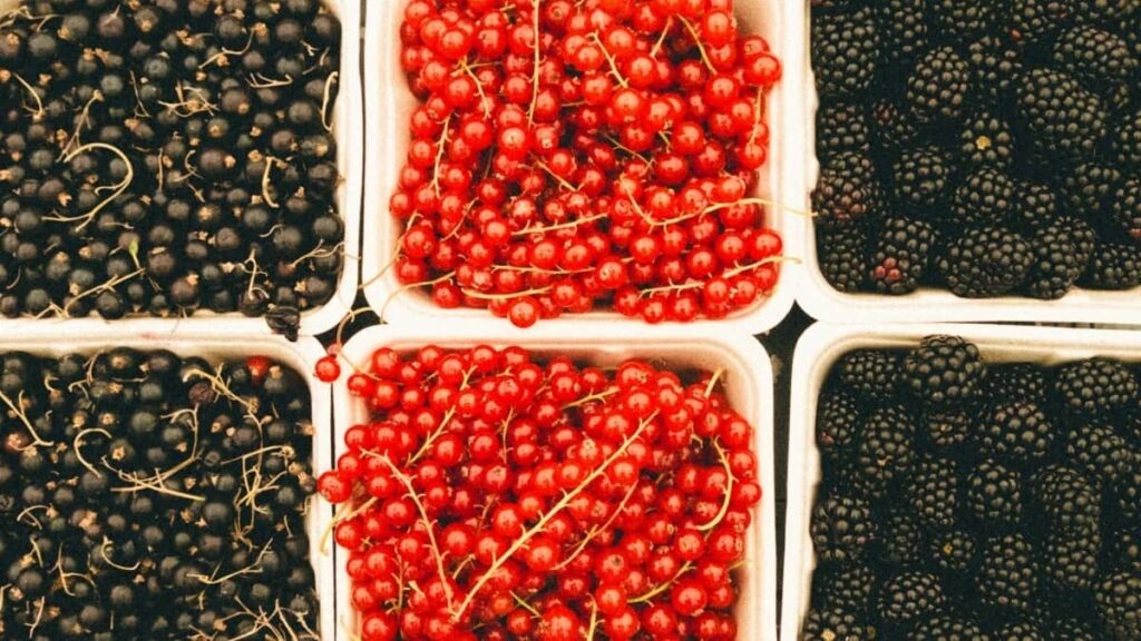 2025 Spain YouTube All-Category Advertising Rate Card for Eritrea