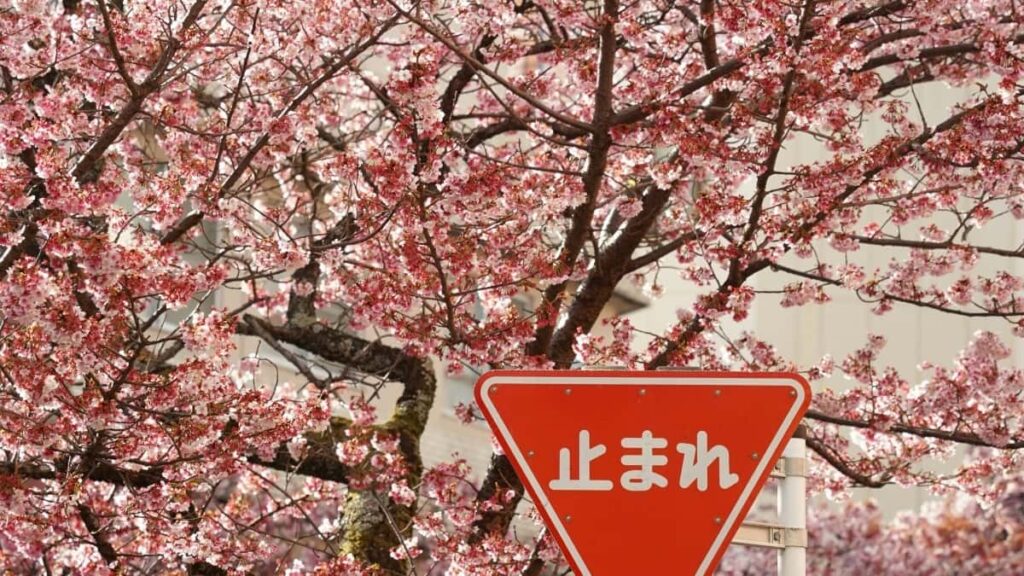 2025 Indonesia YouTube All-Category Advertising Rate Card for Eritrea