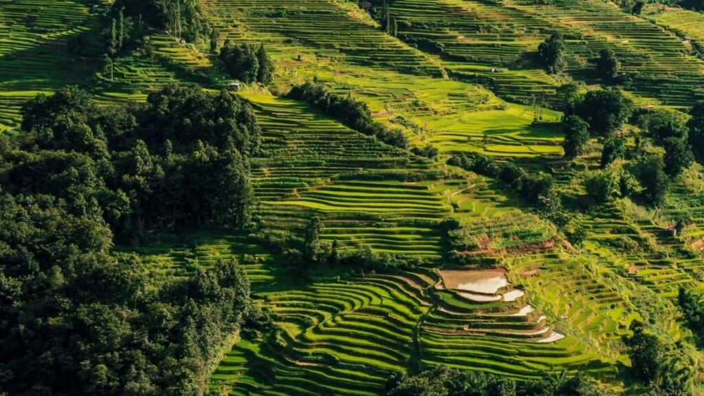 2025 Germany Telegram AllCategoriy Advertising Rate Card