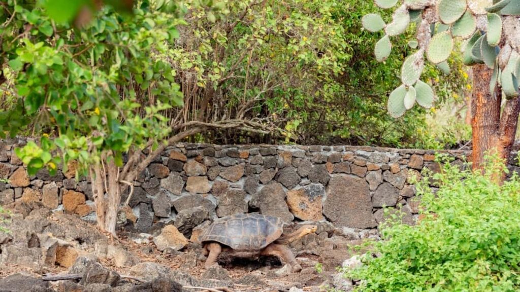 2025 Sweden TikTok AllCategory Advertising Rate Card