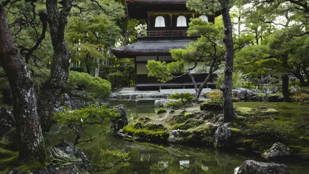 ኣብ Eritrea ዝተፈላለየ ናይ KakaoTalk creator ንMontenegro ምስ ብራንድ ስም ስምንት እትግበር ምስ ሓሳብን ምርካብን ምህባር ኣብዚ ጽሑፍ።