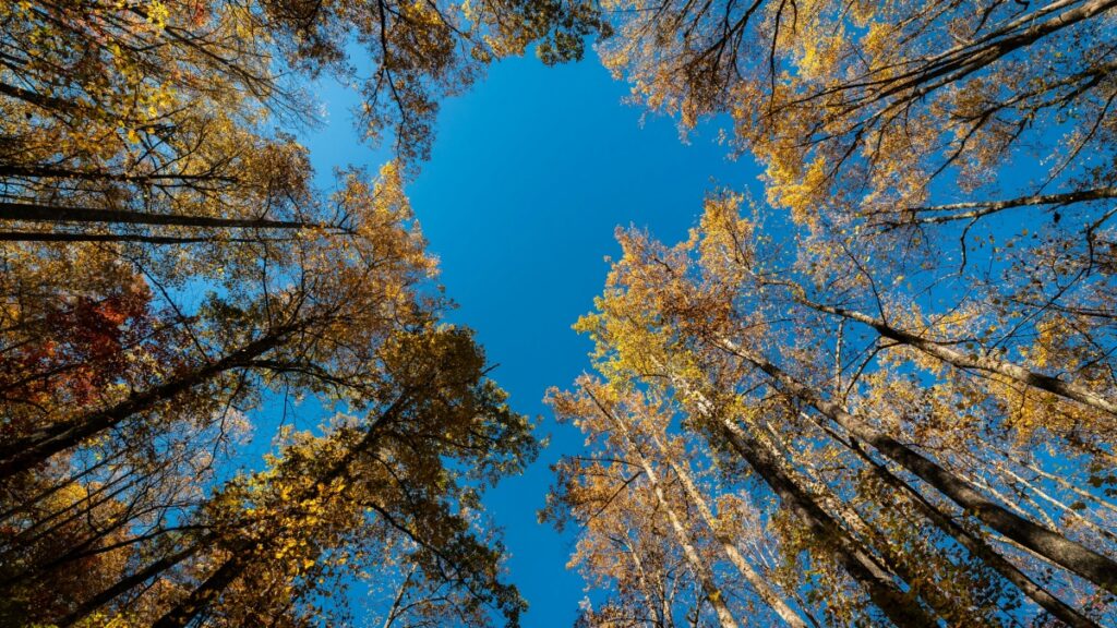 ኣብ Eritrea ብሰብ ዘለኹም ኣተሓሳስባ ንKuaishou ኣብ Paraguay ንምብልፅግና ንምጥፋሕ ብጽቡቕ ሓሳብ ኣብ ገጽ ብሎግ እንተገምጋም ይኽእል።