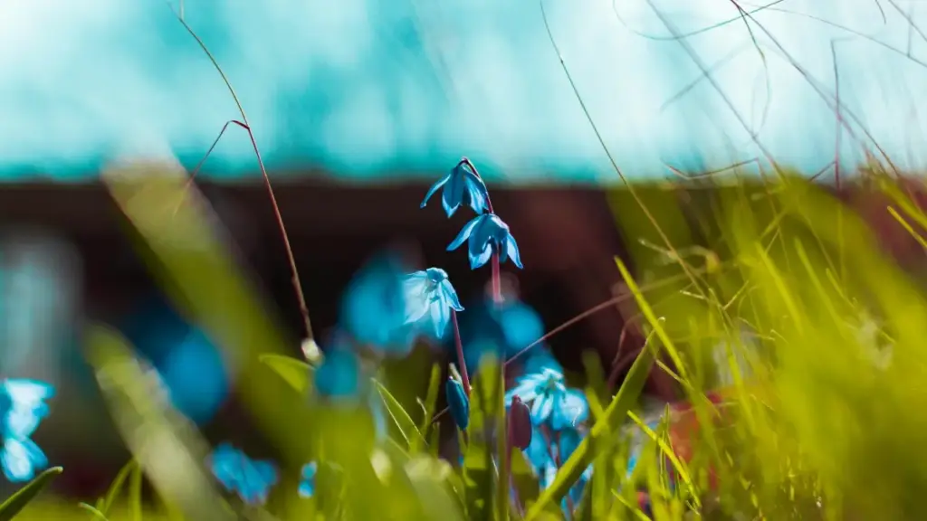 ንኤርትራውያን ብReddit ኣብ Finland ዝተጀመረ ዘለዎ ተራፍረር ካምፐይን ናይ ምምሕዳር ኣብቲ ምርምር ንምልክት።