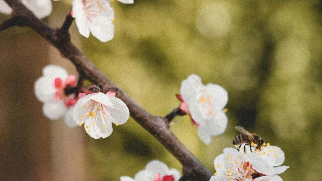 ዝለው ሰራተኛዎች በZalo እና Ivory Coast አቅራቢዎች ምሳሌ ማዘጋጀት እና ተማሪ ማቅረብ በኤርትራ መስክ እንዴት እንደሚሰራ እንወቅ።