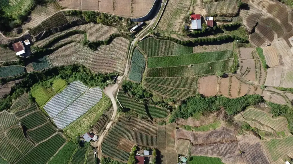 "ናይ ኤርትራ ኣድብራይዘር፣ እዚ መግለጺ ንባንግላዲሽ TikTok ፀሓፊታት ንምርካብ ንዓዳማዊ ቅናሻት ዝኽእል ናይ ኣገባብ ሓሳብ፣ እትታሓዝ እንታይ እዩ።"