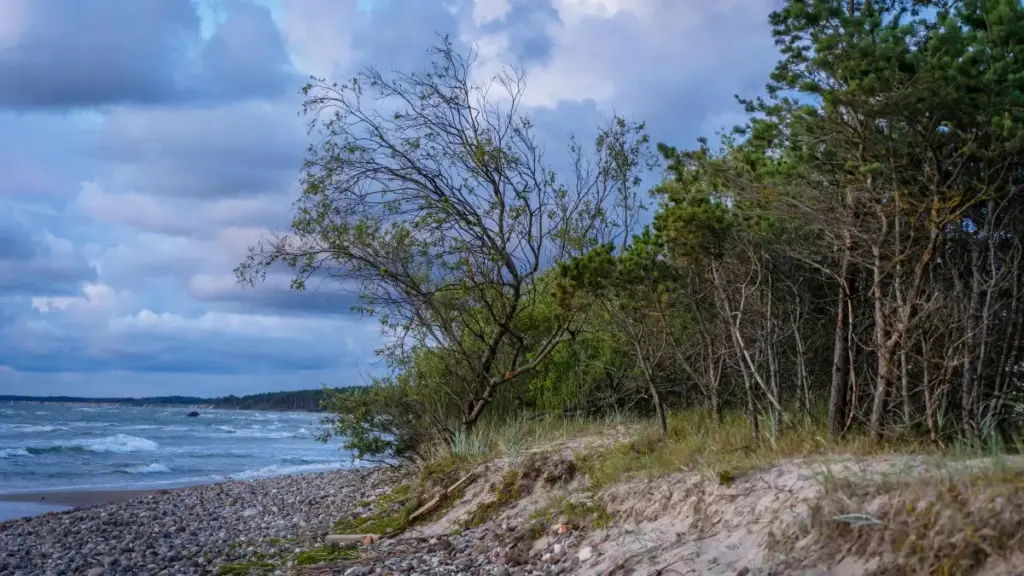 Learn smart strategies Eritrean creators can use to reach US brands on LinkedIn and create hype for product launches.