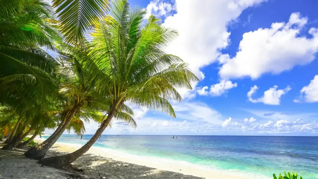 ምንታይ እንተኾይኑ ኩነታት ኣሎኹም ኣብ ቼንጋሪ ምስ ፈረንሳይ ብራንድ ምውዳብ ንምንባብ ንኣውደ ሕብረት ናብ ዝተለዎ ኣርከት ዝደሊ ምልክት።