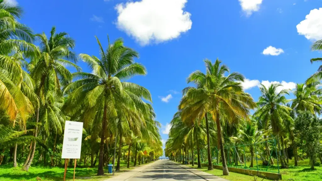 Discover practical ways for Eritrean advertisers to connect with Slovenian WhatsApp creators and drive online store sales effectively.