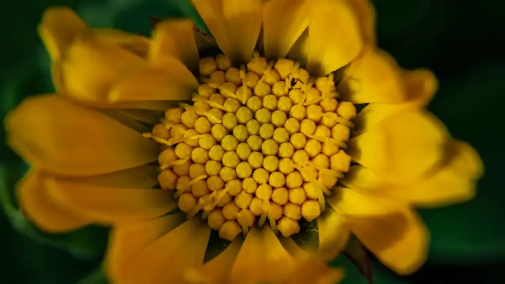 ንምርታማ ብራንድን ሽያጭ ኣባላት፡ ኣብ Amazon ንThailand ዝተሰማምዐ ዝነበረ ኮንተንት መጠቀም፡ መንገዲ ሓበሬታን ሕጊ መረዳእታ ክትረዳ ይኽእል።