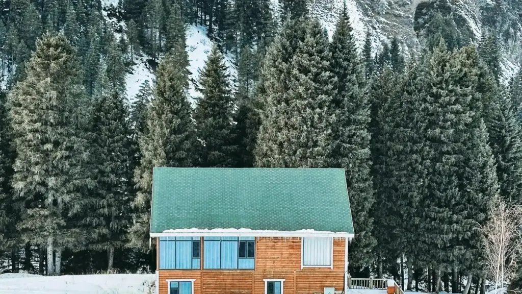 ንማሕበራዊ ማሕበር ኣባላትን ቪኬ ክርየተርን ናብ ኣልጄርያ ምረፍ ንምሉእ ምስ ኣማሓዳሪ ብትክክል ንምርዳእ።