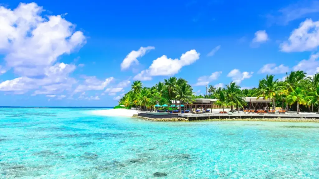 ኣብ ባህርን ዶዊን ፍንታት ንምልኣኽ ንምልኣኽ ምርታት ንምትሕብባ ኣማኻሪ ክትሰርሕ ቀሊል ሓሳብታትን ምግባራትን ኣብ መንገዲ ገለ ተወሳኺ መልእኽቲ ኣብዚ ጽሑፍ ኣብ ምምላእ ኣሎ።