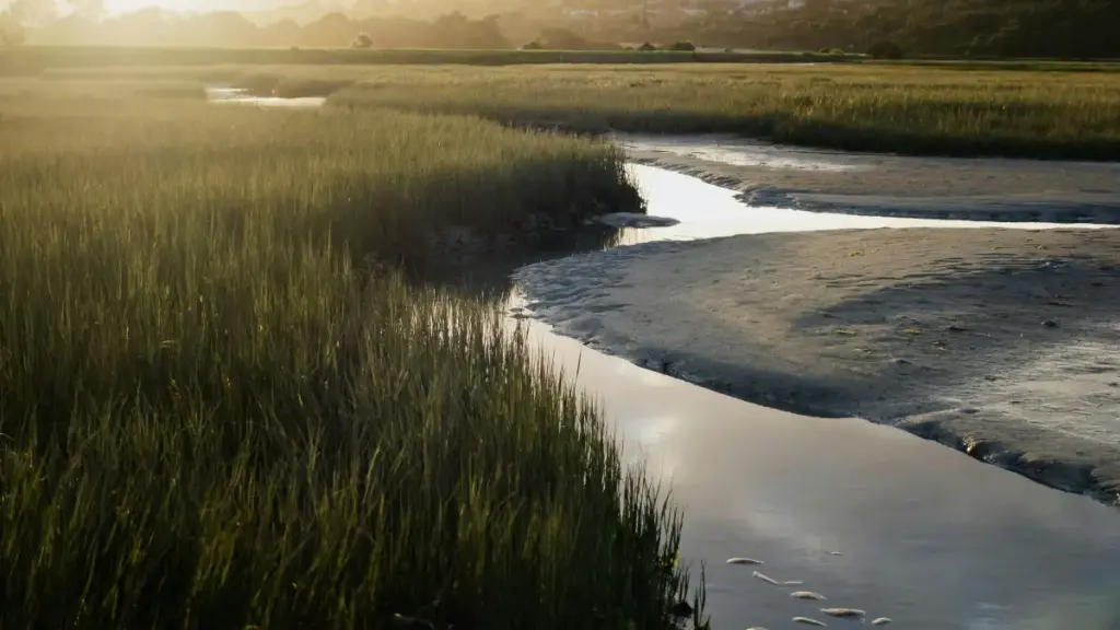 ምእንቲኡ ንኤርትራውያን ኣርታዊ ሱቅ ኣብ መስመር ላዕሊ እንታይ እንተምንታይ ኣይስላንድ Snapchat ፍጻሜታት ክኸውን ዝኽእል መልእኽቲ እዩ።