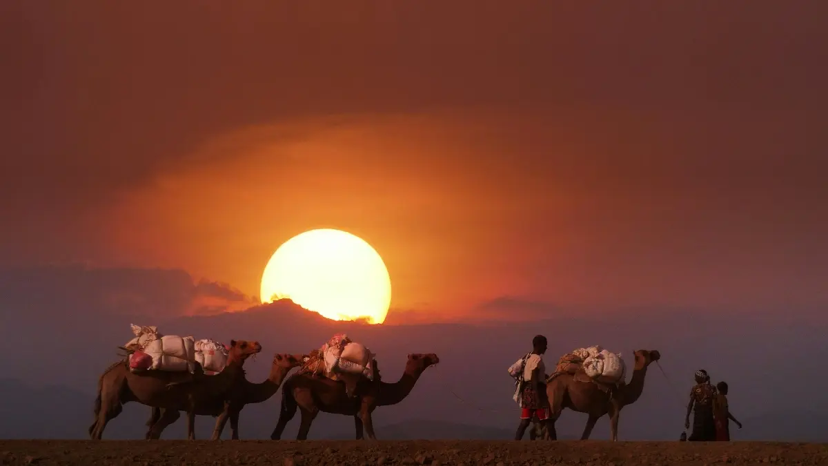 ኣብ ኣየርላንድ ብቻንጋሪ ፍትሒ ፈጻሚ ክረኢተር ከመይ ንምርካብ ንቅድሚ ሽያጥ ኣብ ኣካል መምርሒ?