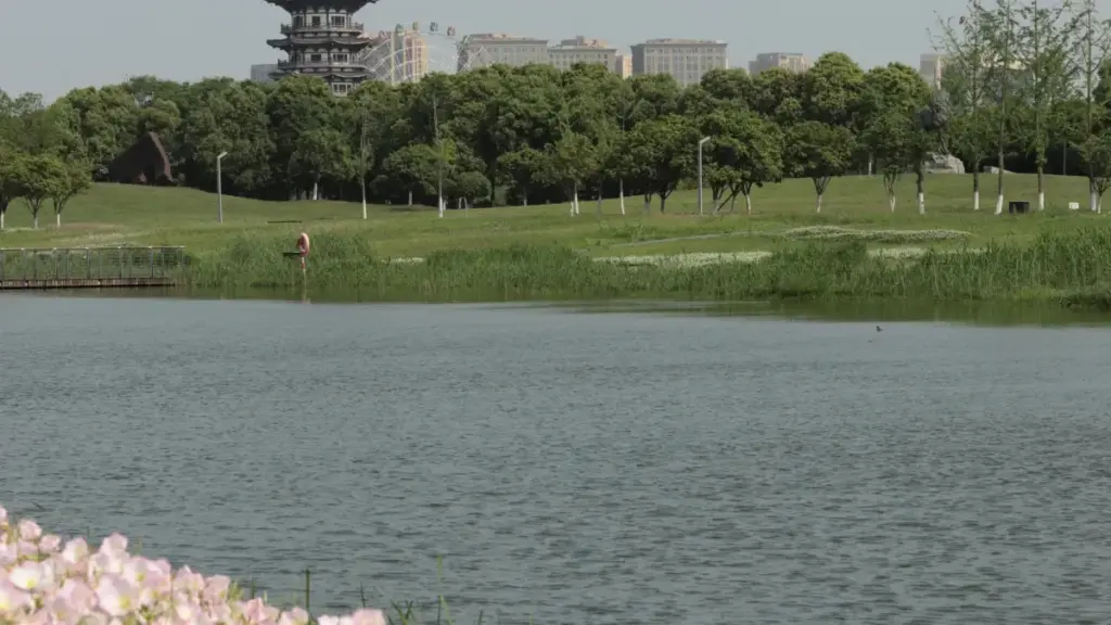 ናይ ኤርትራ ባዕላዊ ማርኬቲንግ ኣስተርጓሚ ፣ እንታይ እንተርፎኹ ፓኪስታን Twitch ፍለጥ ምርካብ ቪድዮ ኣርከት እንተደሊ ብቅድሚ ምርምር እንተደሊ።