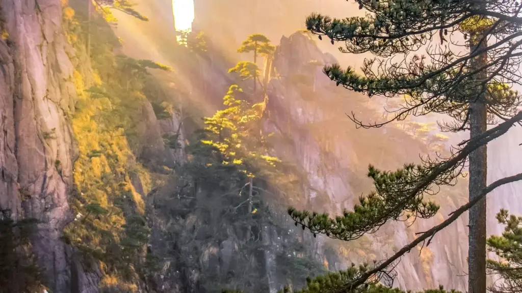 ንማሕበራዊ ገጽታ ፣ ንተወሳኺ ፊትነስ ኣፕ ግዜ ፈጺም ኣብ Chingari ፍለጥኩም ሓሳብን መርሓባን