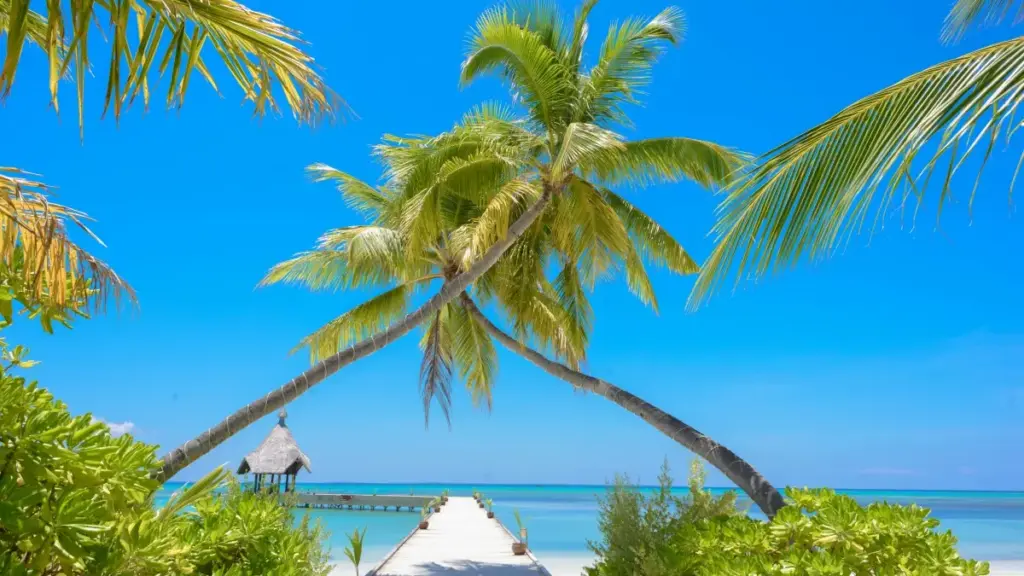 ናይ ኦማን ኢቤይ ፍርስራሾች ንሞባይል ኣፕሊኬሽን እንታይ ከም ከለኻ እንተደሊ ኣብ ኤርትራ ኣብዚ ጽሑፍ ንምርምር።