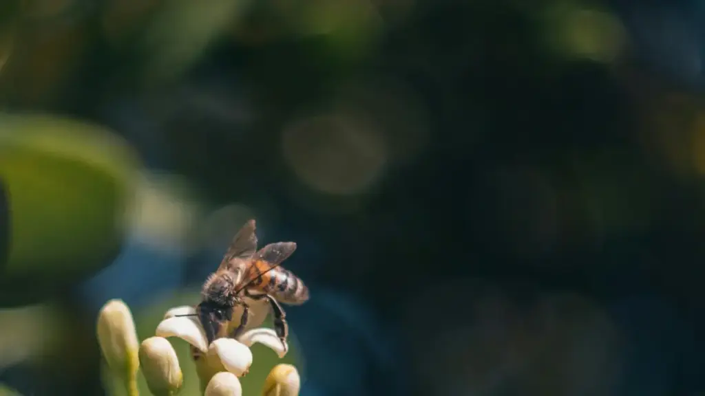 መንእሰይ ኣብ Bilibili ዝኾነ ነጻ ፕላትፎርም እናበለስ፣ ከመይ ኣርመንያ ብራንድ ንርእስ ንስራሕ ንፍትወት ክኸውን ዝችል መንገዲ ዝርዝር መመሪያታት፣ ምስ ሓሳብን ኣብ ኣካላዊ ምርካብ ፍሉይ ምስላት።
