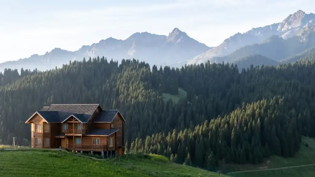 እቲ መንገዲ ናይ ፍቲልክስ ክርእይቶ ከም ኣሜን፡ ኣብ Twitch ንኣርምጽና እንታይ እንተደሊ? ሓሳብ፣ መንገዲታት እና ምርካብ መረዳእታ ኣብ ብዛዕባ ኣዘርቢያን ብቅድሚ ንምርሓይ።