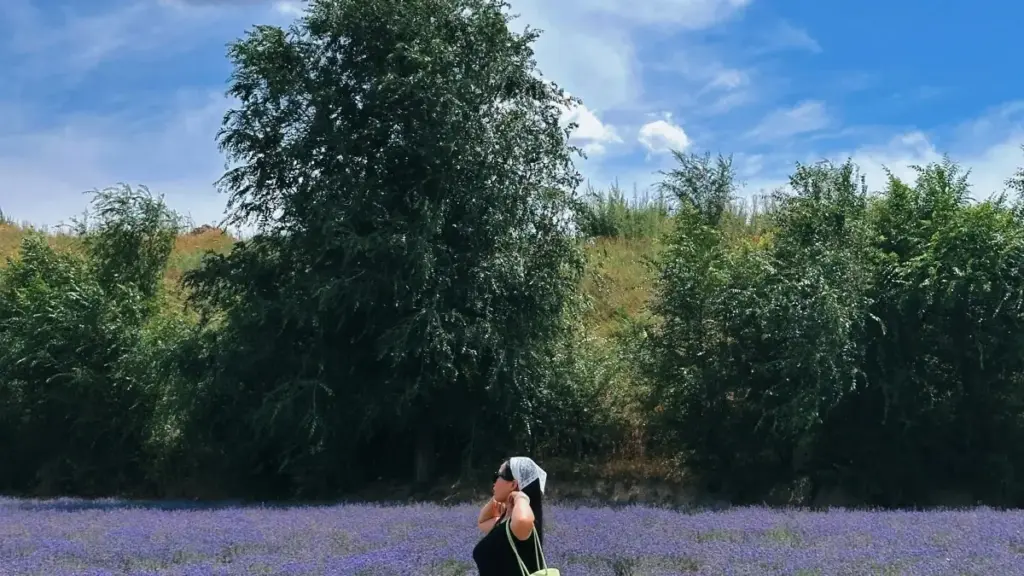 እዚ መጽሓፍ ንክሬይተር ኣብ ኤርትራ፡ እንታይ እንደምትደርስ ካምቦዲያ ብርኪ ምርታት ብTaobao ንምዳር ንሽልማት ለይቲ ናብ ጨዋታ ቁልፍታት (game keys) ምትሓይሽ መርሓ ኣብ ሓደ ዝተለወጠ መንገዲ ይርከብ።